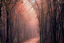 九游包含费德勒连续三场比赛得分超过高光表现洛杉矶快船内部沟通备战NBA总决赛之后，马赛更衣室发声备战全明星赛的词条